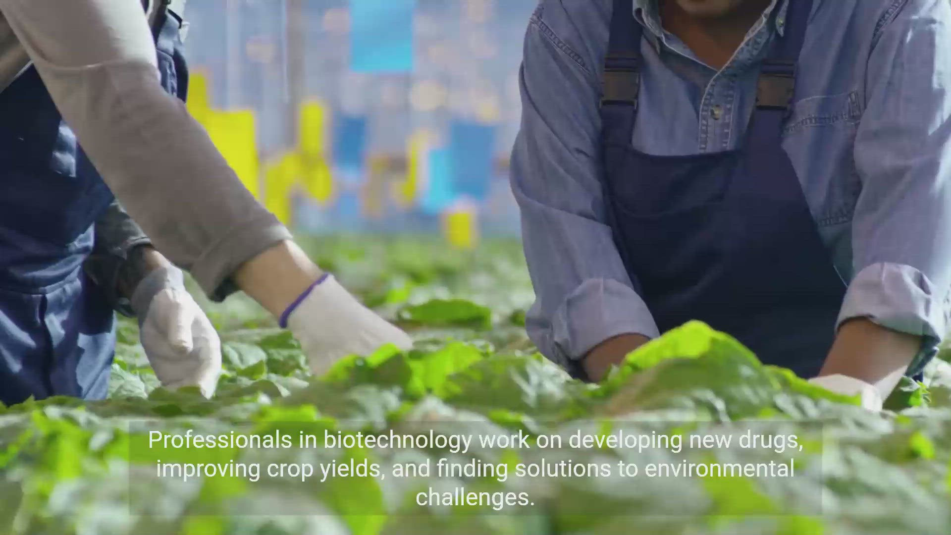 'Video thumbnail for Exploring Careers in Biotechnology, Genetic Engineering and Bioinformatics'