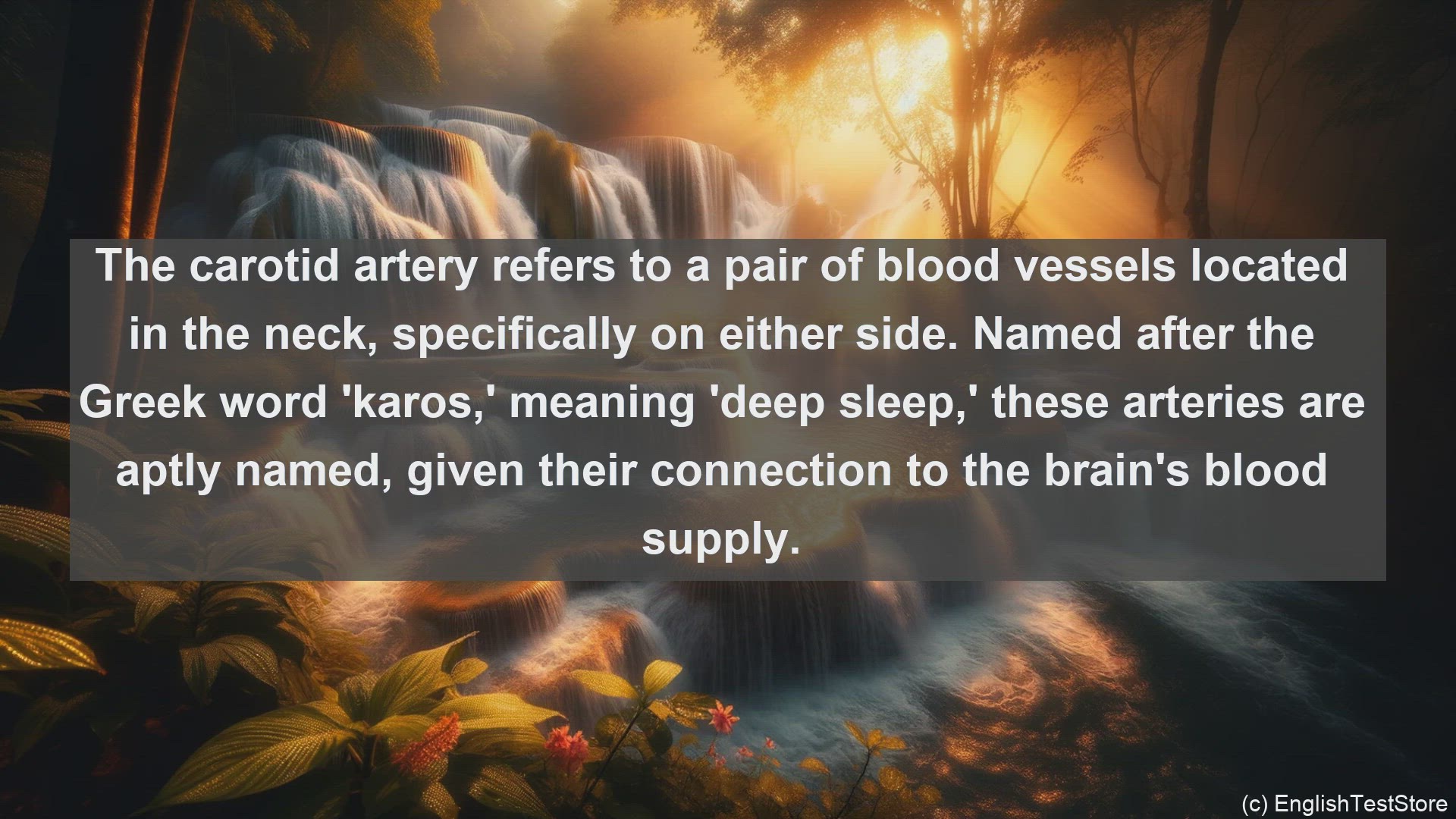 'Video thumbnail for Carotid artery in science  definition and examples'