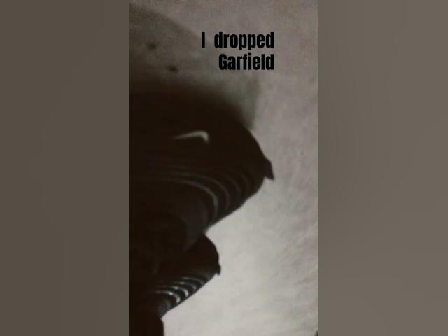 Video thumbnail for 😸