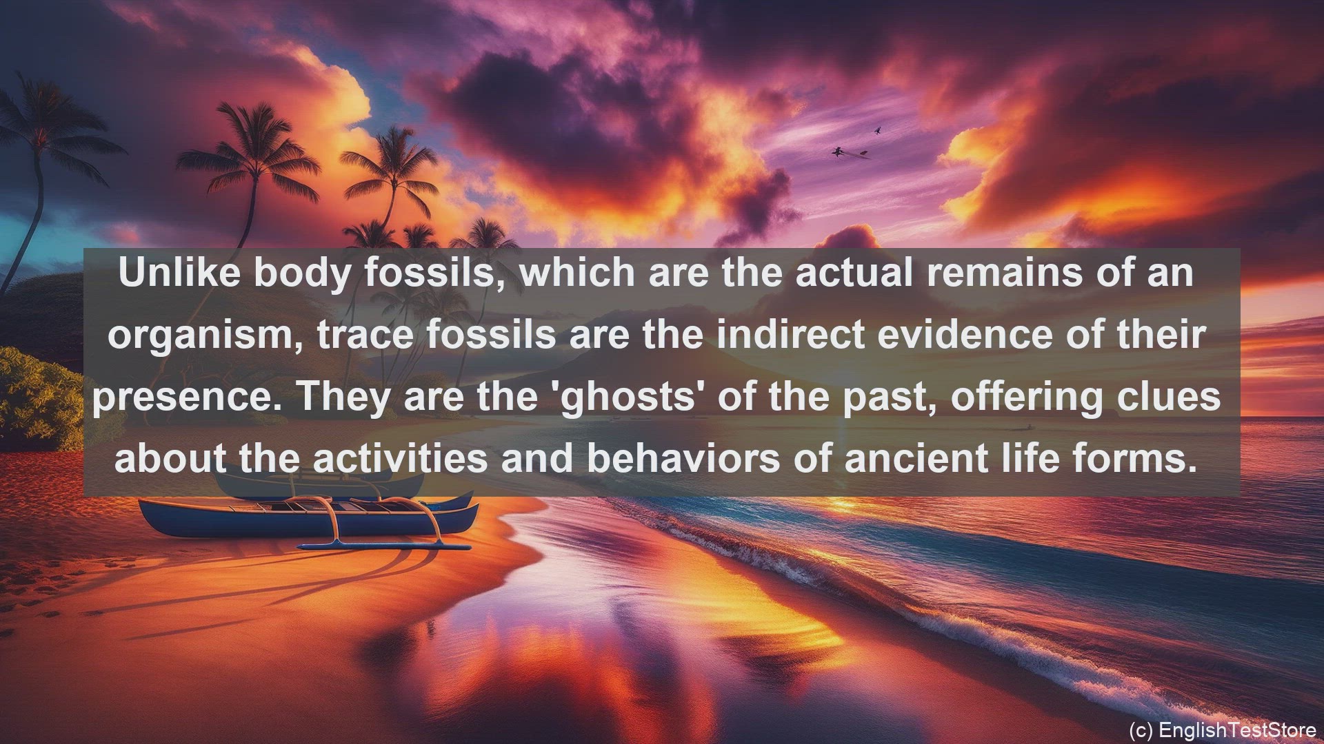 'Video thumbnail for Trace fossil in science  definition and examples'