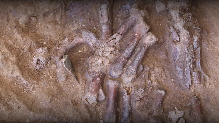 Video thumbnail for Excavation Reveals Neanderthal Skeleton In Iraq