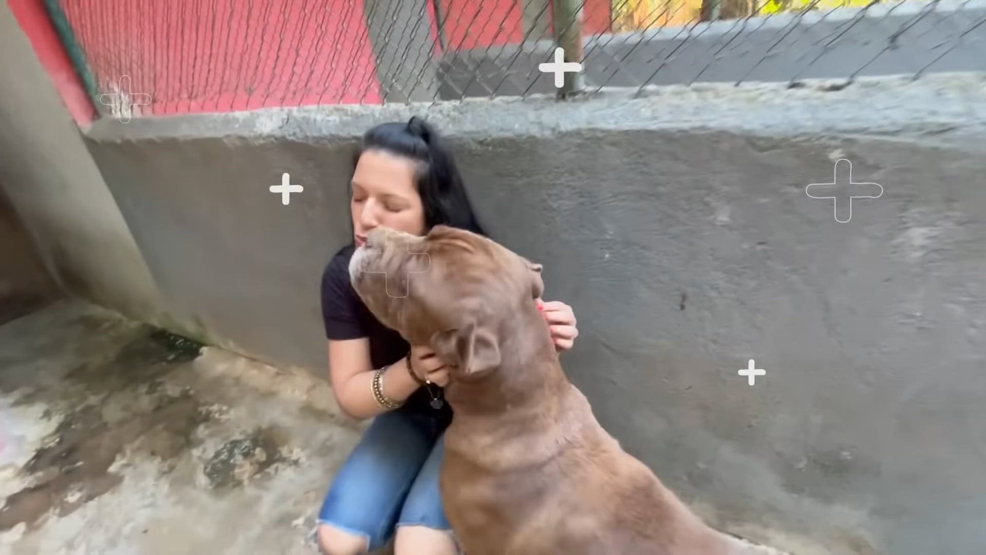 'Video thumbnail for CANE CORSO, UM GLADIADOR EM FORMA DE CACHORRO!'