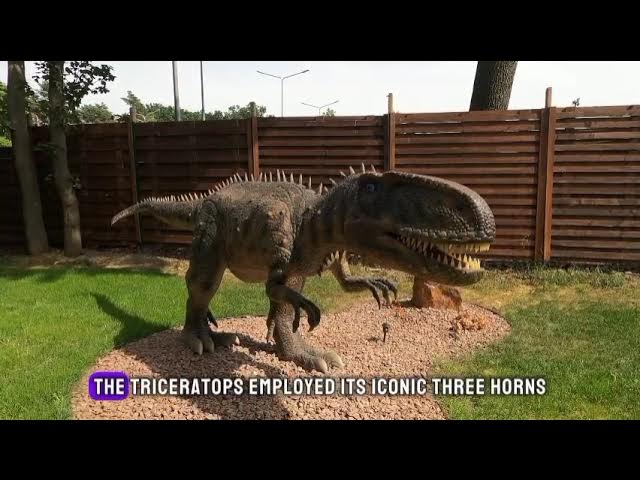 'Video thumbnail for Dino Delights: Unveiling 10 Mesmerizing Facts'