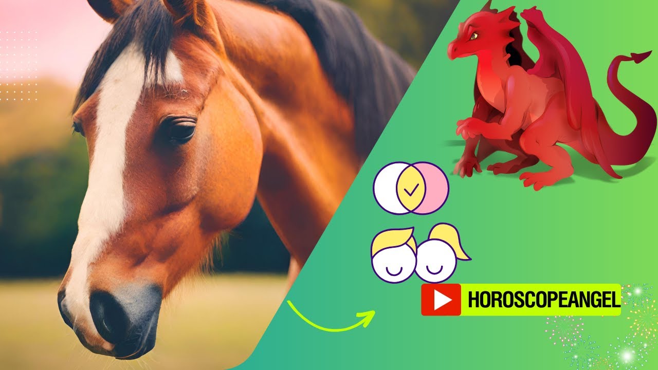 Video thumbnail for Dragon & Horse: Compatibility love; video blog