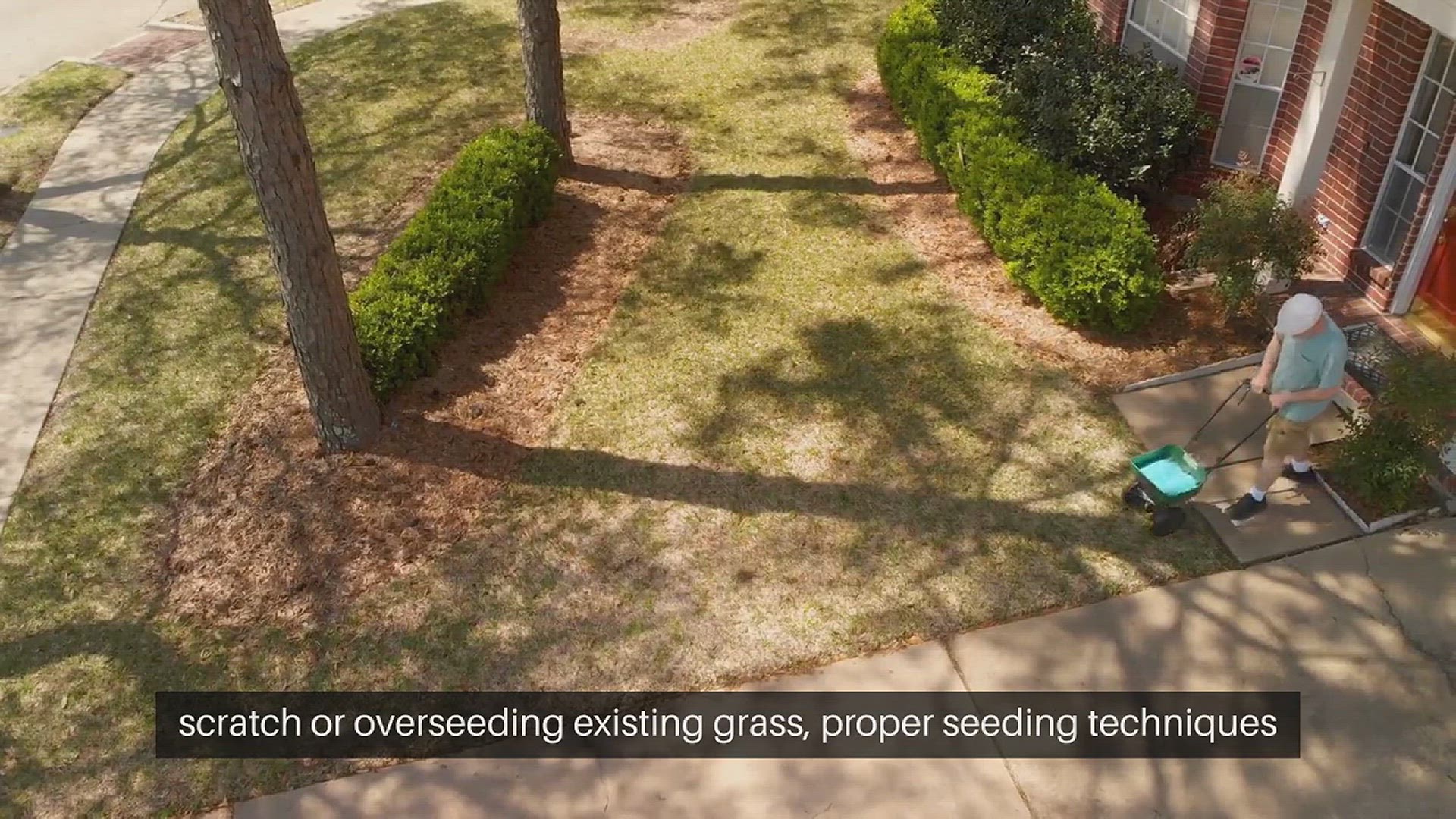 'Video thumbnail for Lawn Grass Seeding Tips'
