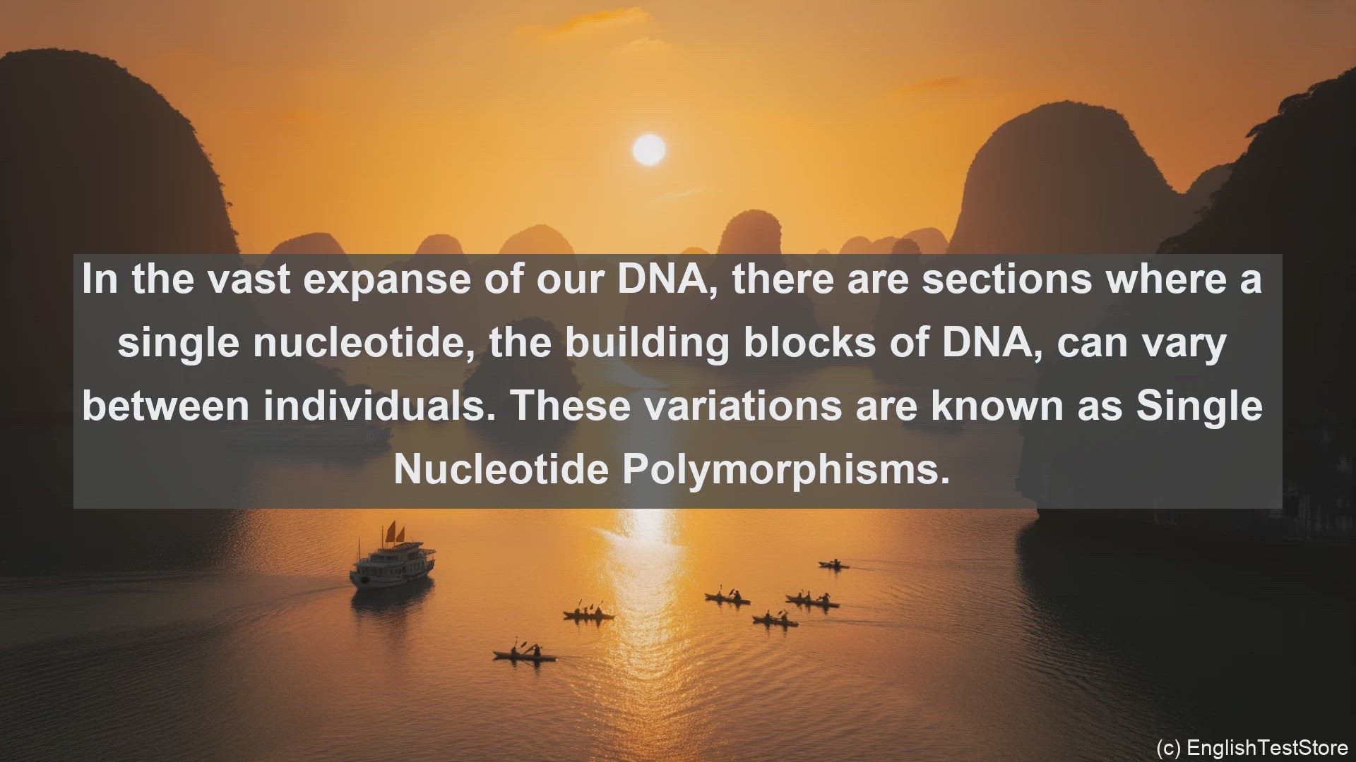 'Video thumbnail for Single nucleotide polymorphism in science  definition and examples'