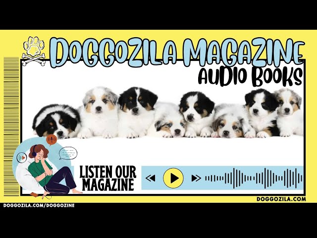 'Video thumbnail for How to keep your dog cool in hot summer days'
