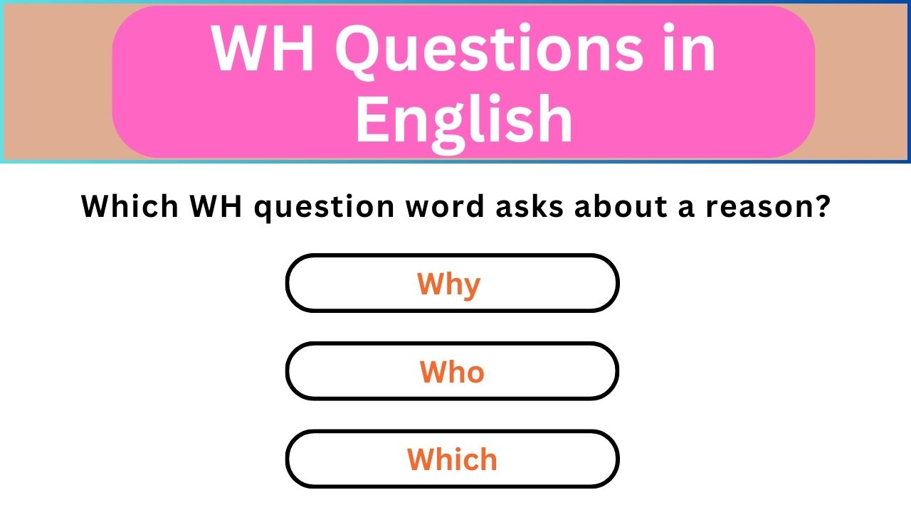 Video thumbnail for English Grammar Practice ||  WH Questions in English || English Grammar Test