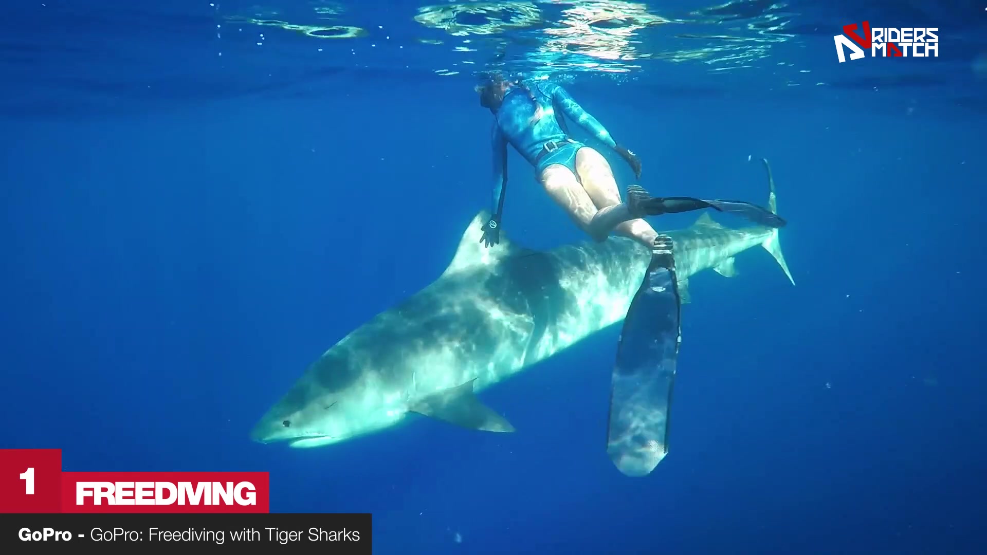 Video thumbnail for Would you dare to dive with Ocean Ramsey and his sharks? | Ocean Scenes