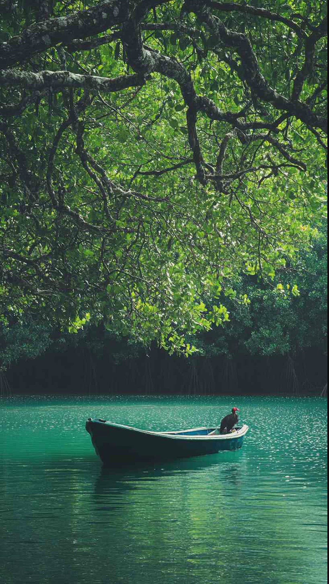 'Video thumbnail for bay boat images 4k hd wallpapers'
