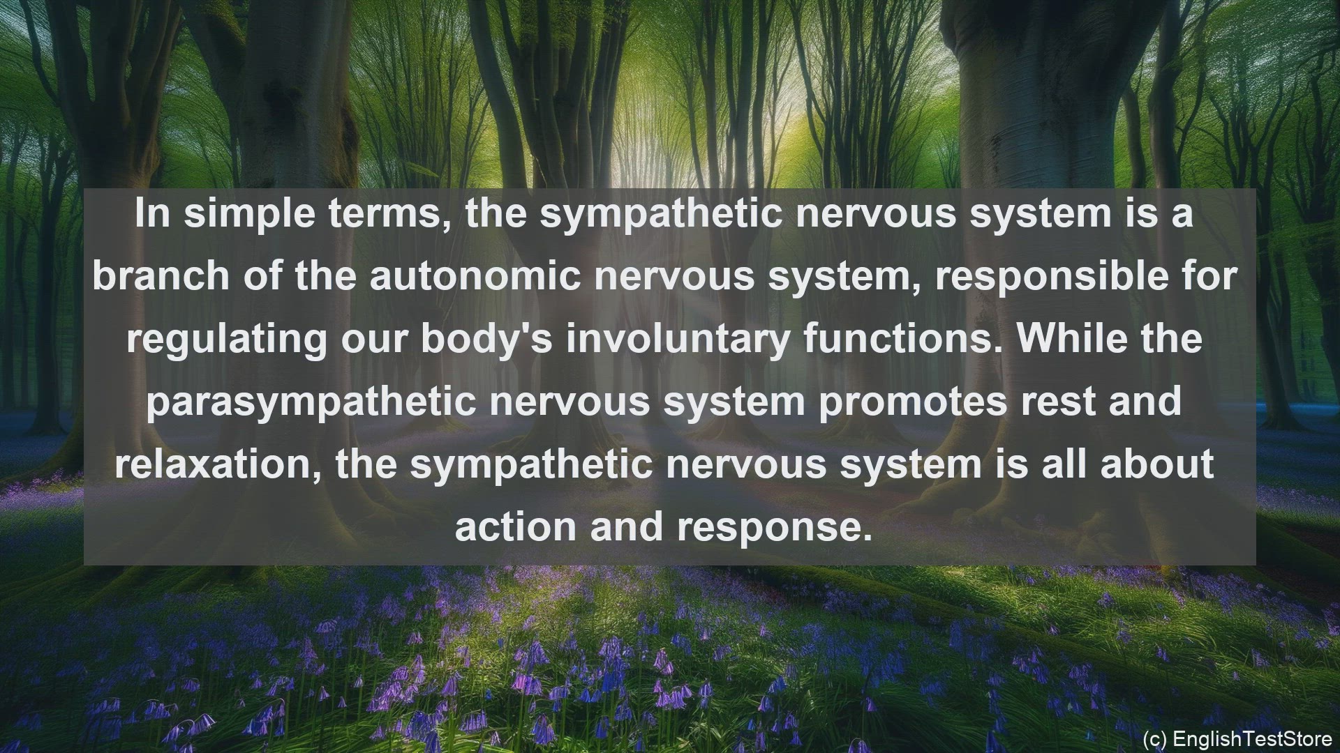 'Video thumbnail for Sympathetic nervous system in science  definition and examples'