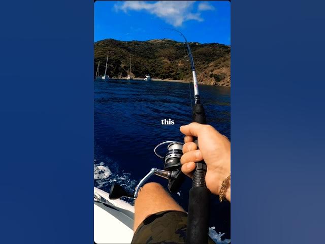 Video thumbnail for What's Yours? #Fishingtrips #travel