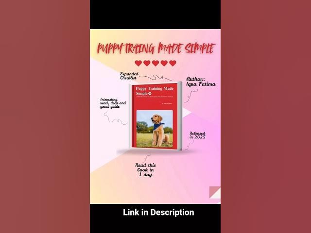 Video thumbnail for How to Train Your Puppy FAST | Simple Dog Training Tips #puppytraining #dogtrainingtips #ytshorts