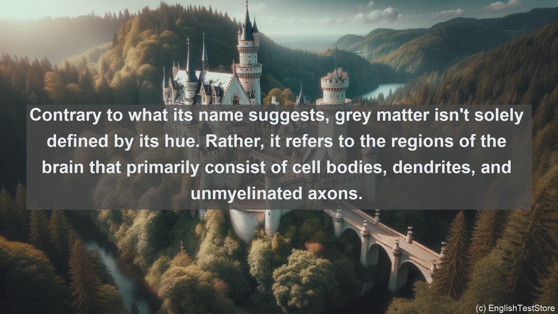 'Video thumbnail for Grey matter in science  definition and examples'