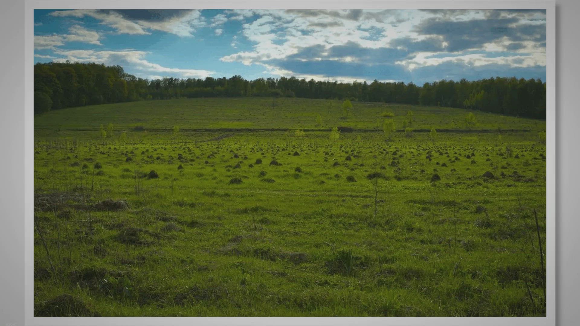 Video thumbnail for How to deal with Bad Quality Bumpy Soccer Fields