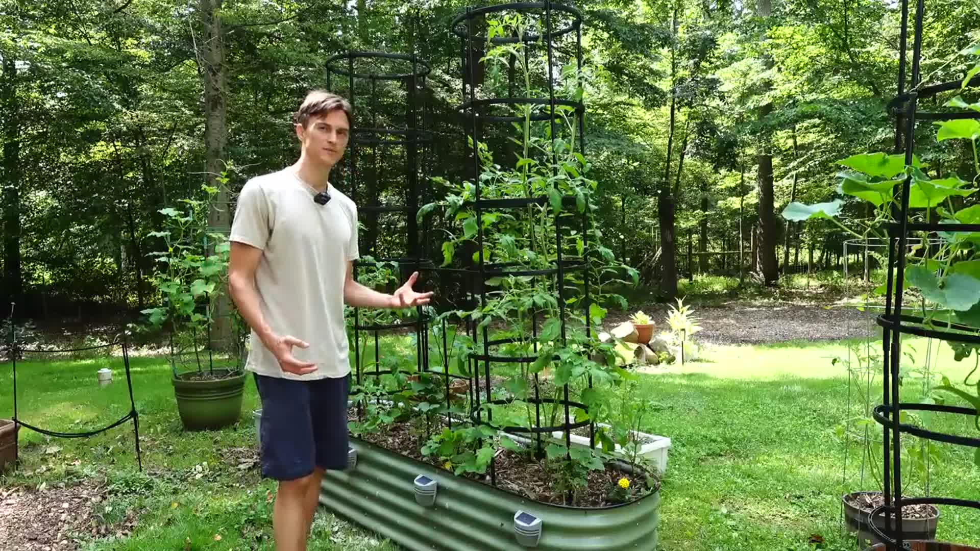 'Video thumbnail for 3 Tips for Container Grown Veggies - Easier Care & Better Harvest'