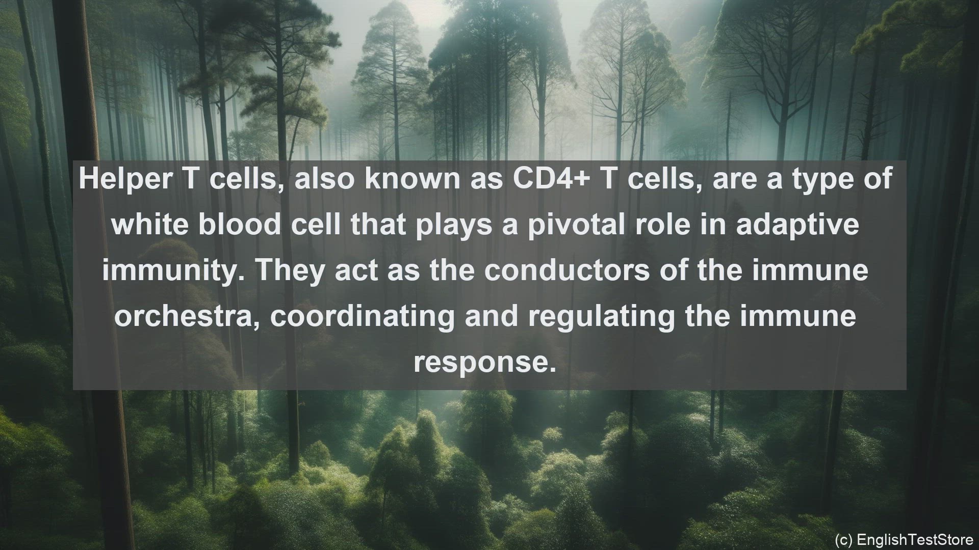 'Video thumbnail for Helper t cells in science  definition and examples'