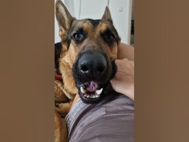 Video thumbnail for Bored