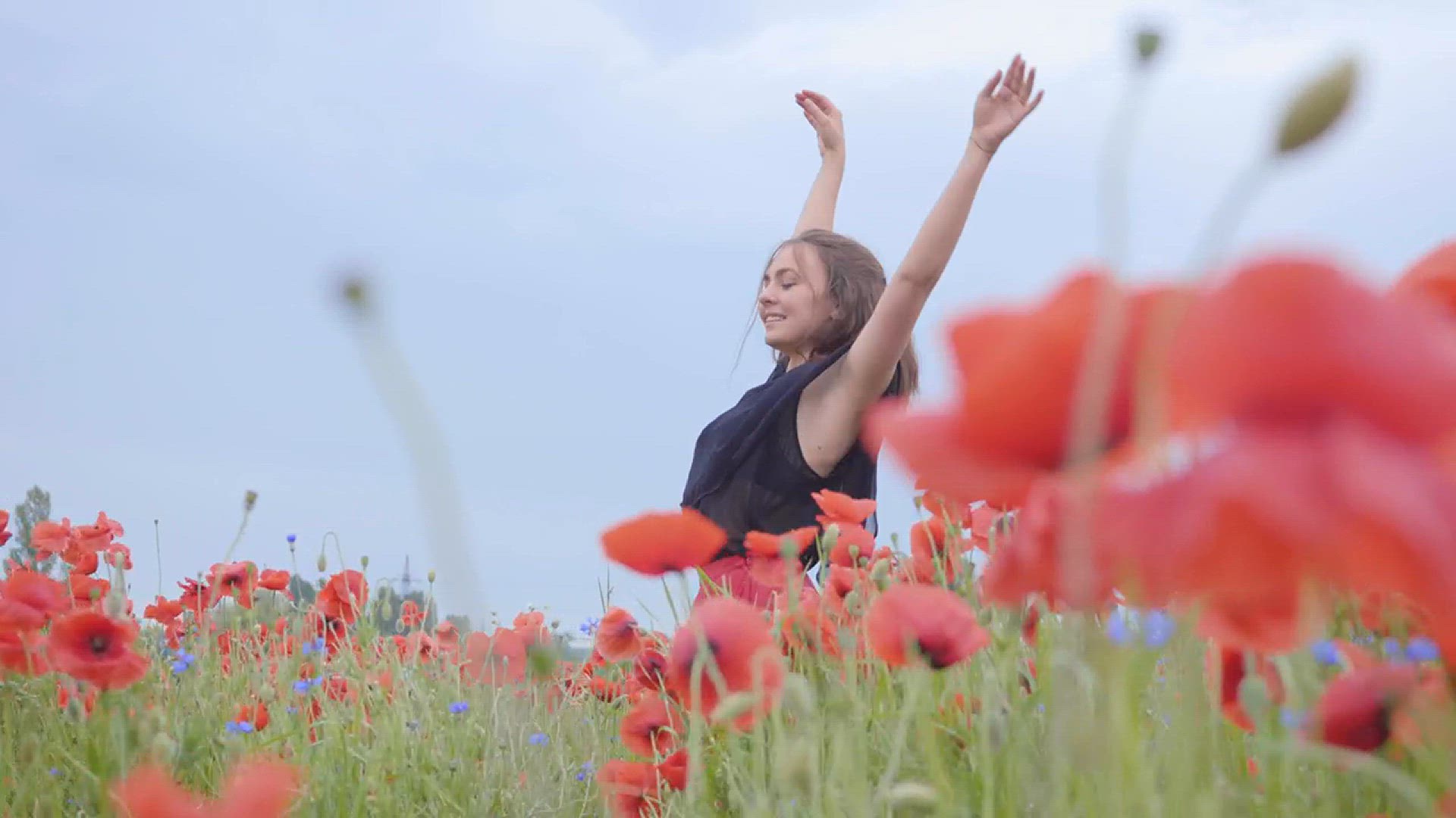 Video thumbnail for Girl dancing happily in a field of flowers