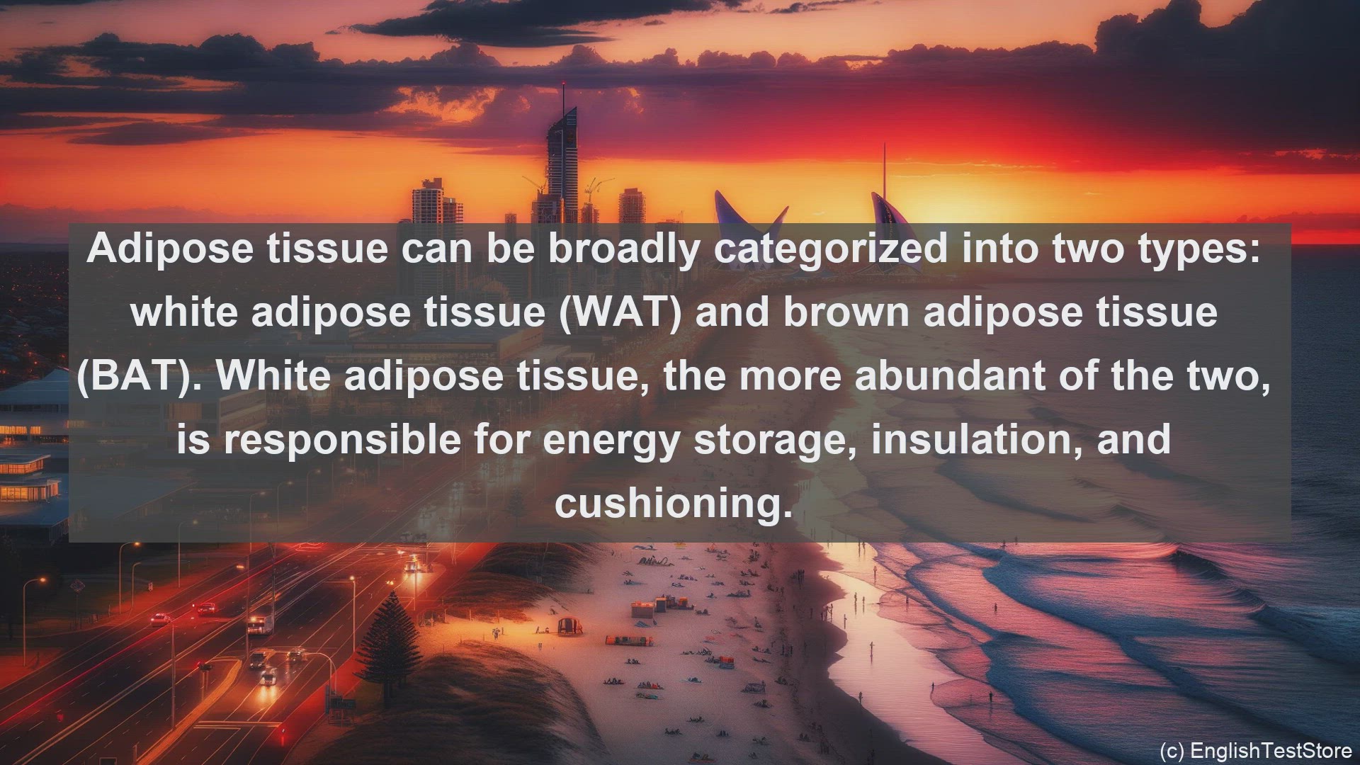 'Video thumbnail for Adipose tissue in science  definition and examples'