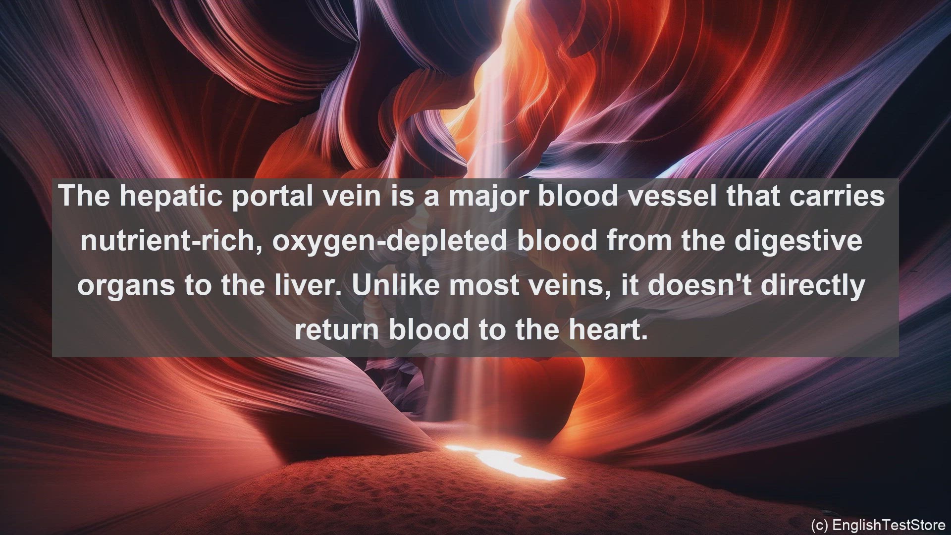 'Video thumbnail for Hepatic portal vein in science  definition and examples'