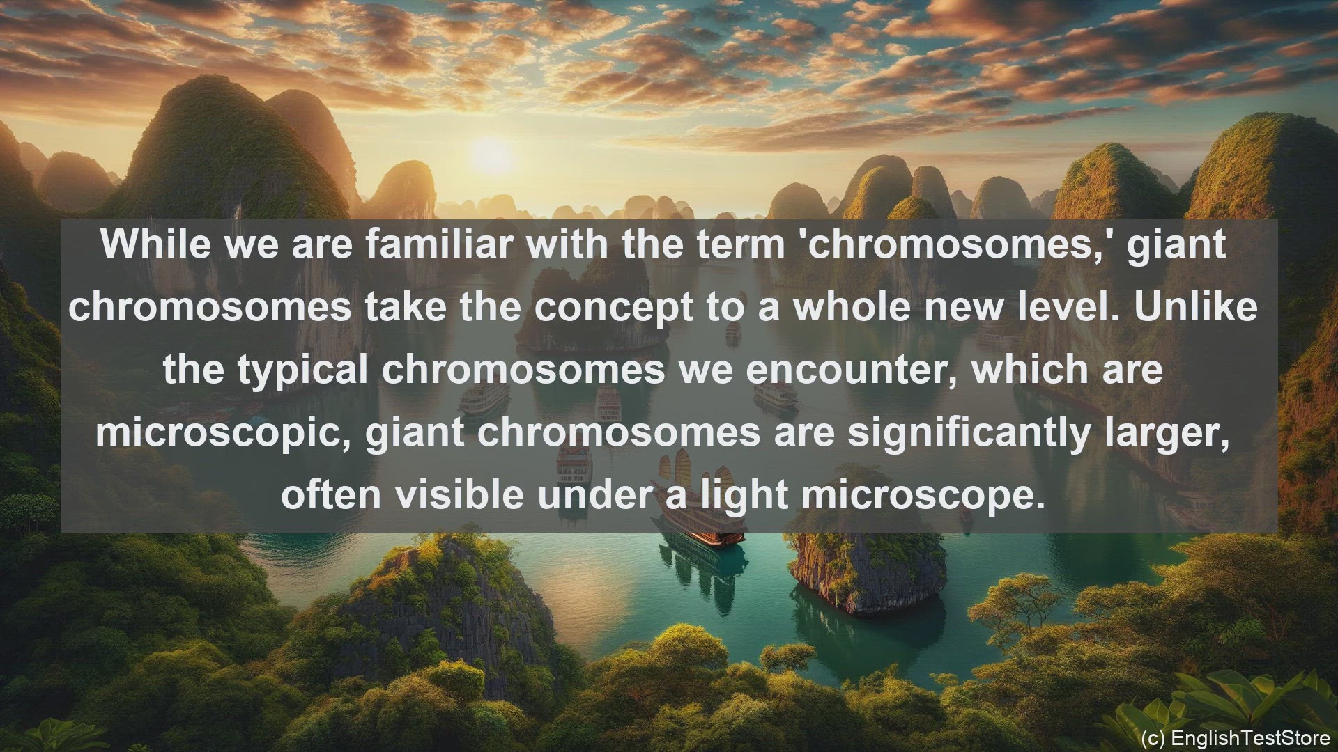 'Video thumbnail for Giant chromosomes in science  definition and examples'