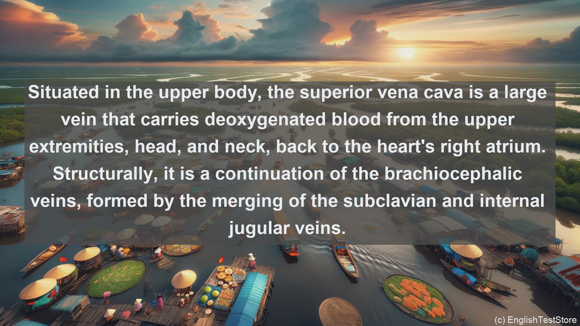 'Video thumbnail for Superior vena cava in science  definition and examples'