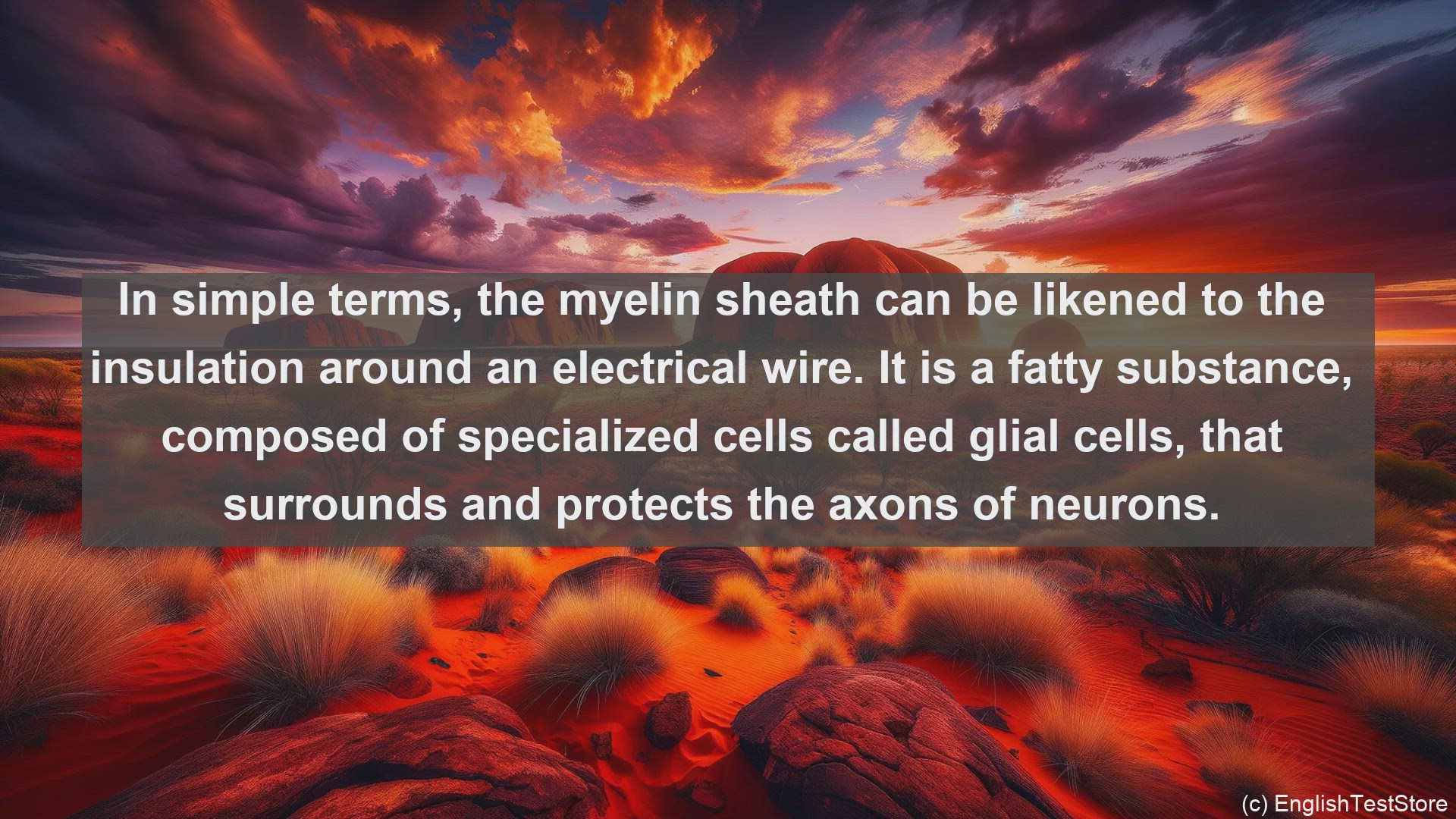 'Video thumbnail for Myelin sheath in science  definition and examples'