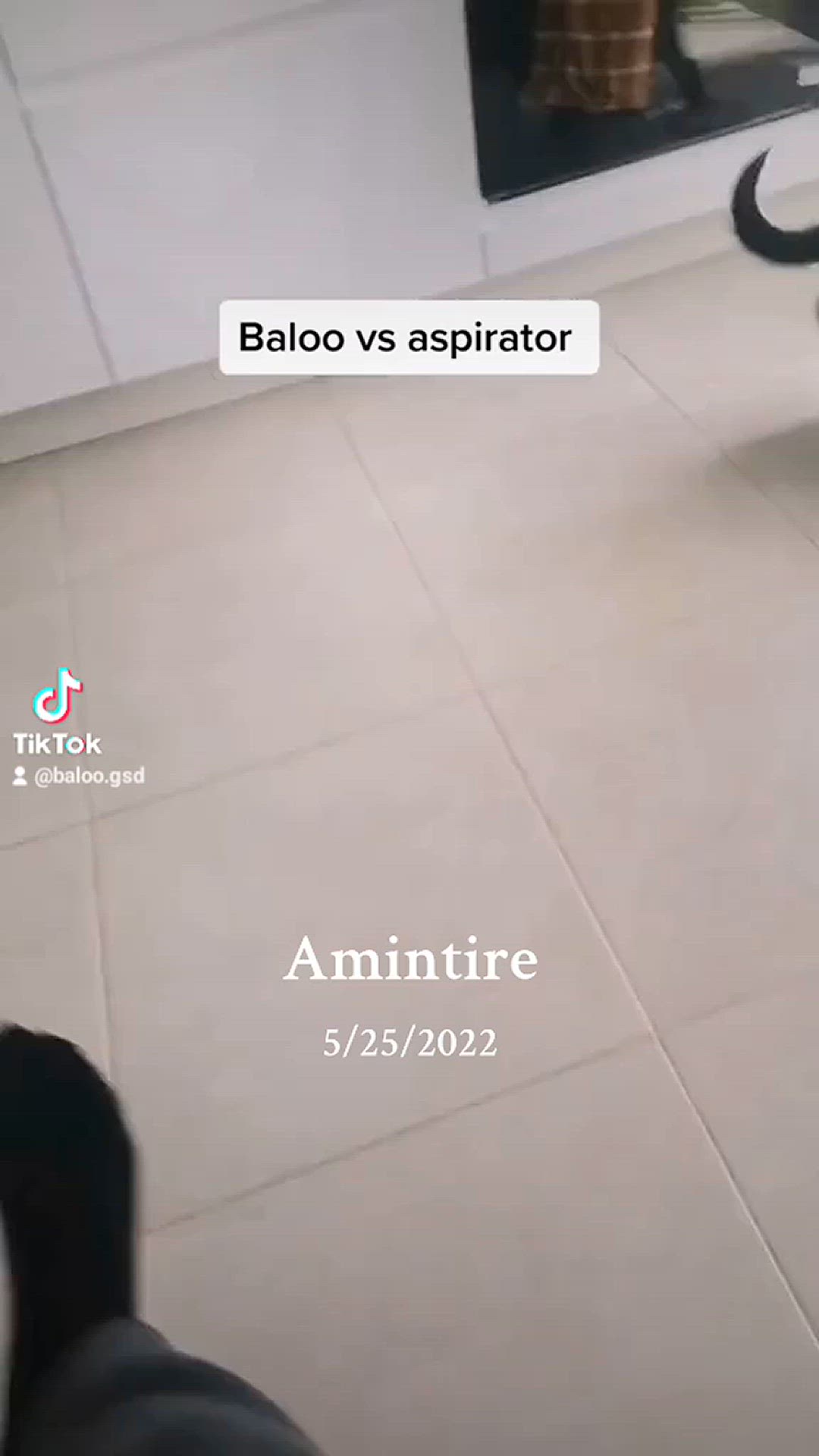 'Video thumbnail for Baloo-star.com'