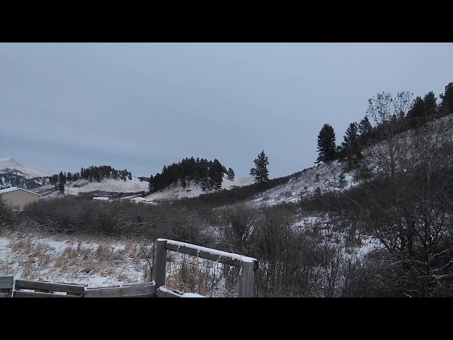 Video thumbnail for IT SNOWED LASTNIGHT & THIS MORNING