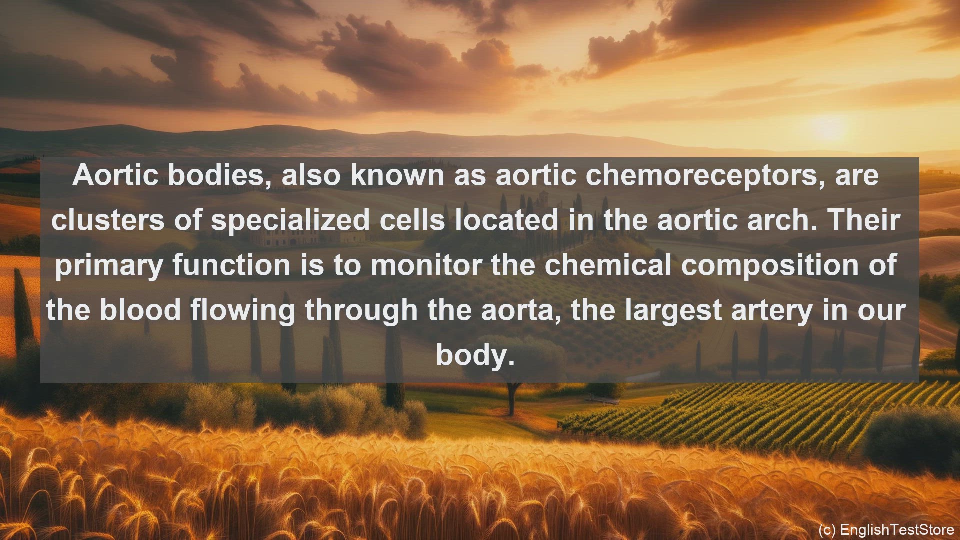 'Video thumbnail for Aortic bodies in science  definition and examples'