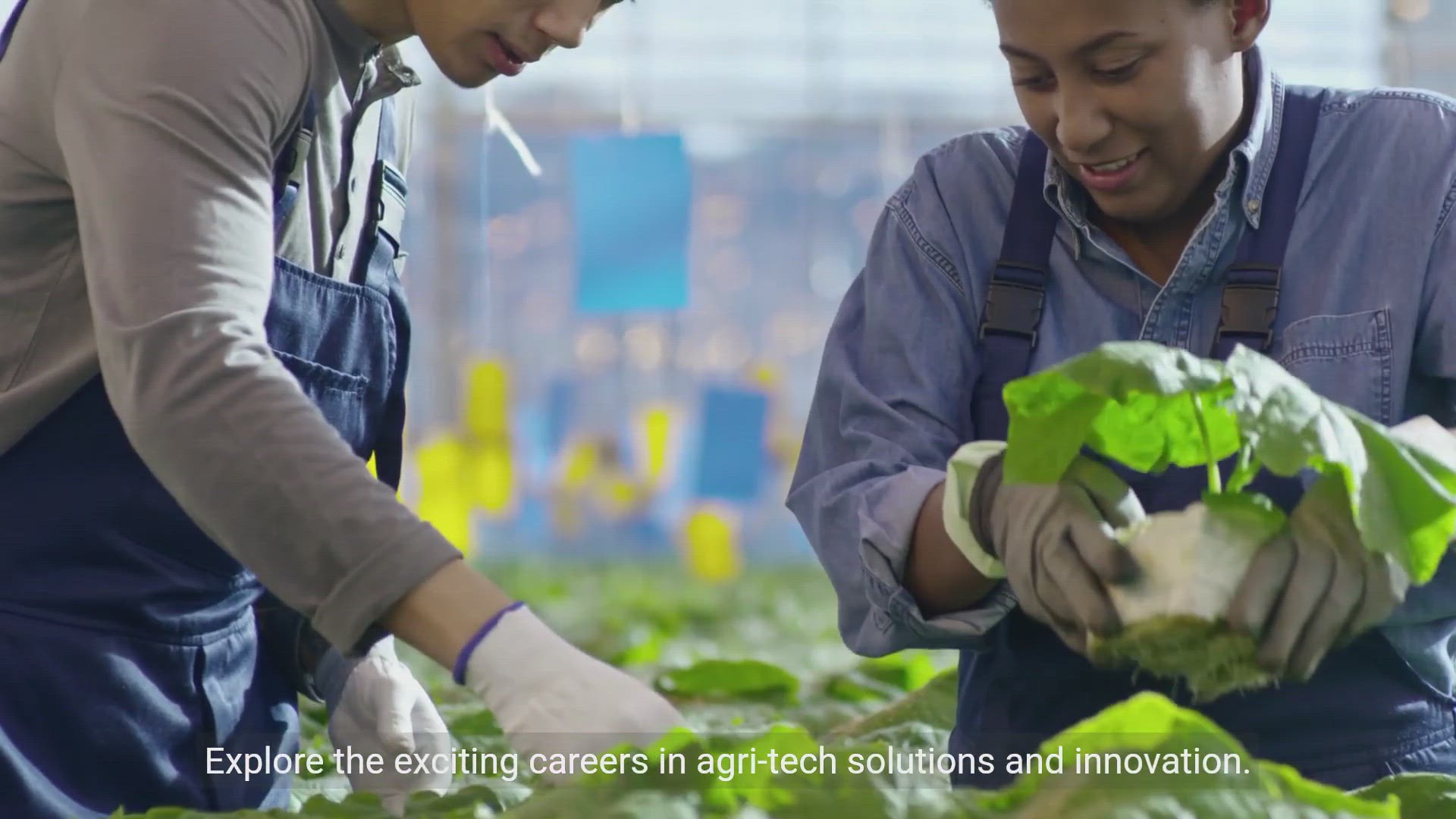 'Video thumbnail for Digital Agriculture and Careers'