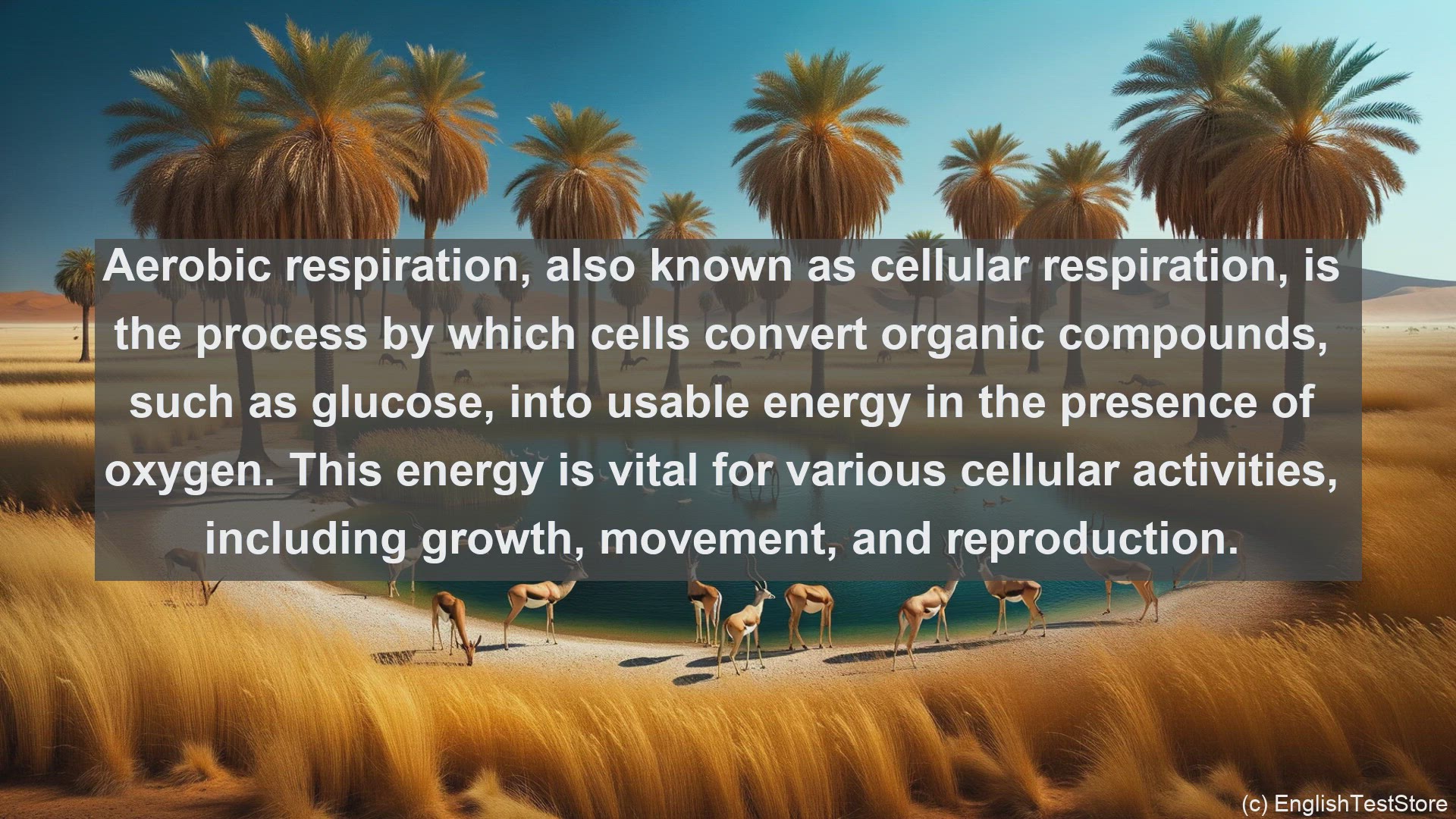 'Video thumbnail for Aerobic respiration in science  definition and examples'