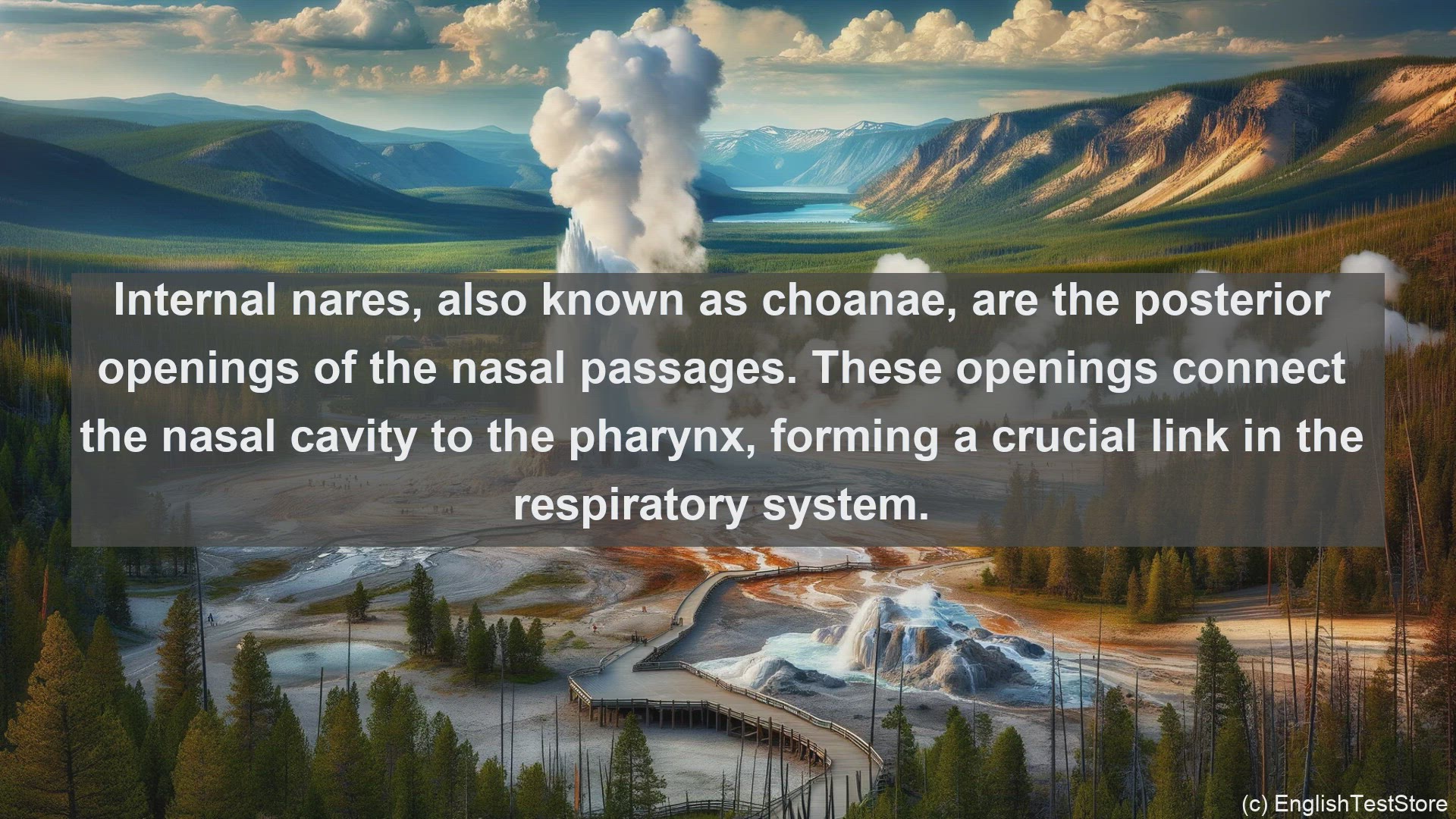 'Video thumbnail for Internal nares in science  definition and examples'