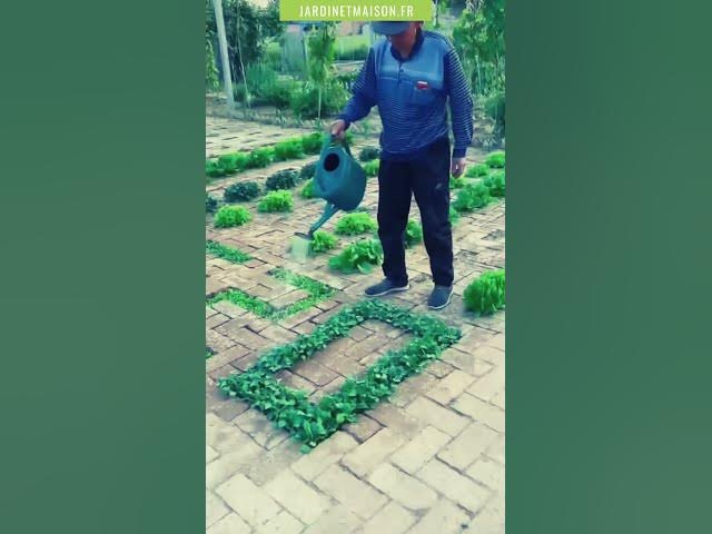 Video thumbnail for Cet homme est juste un magicien