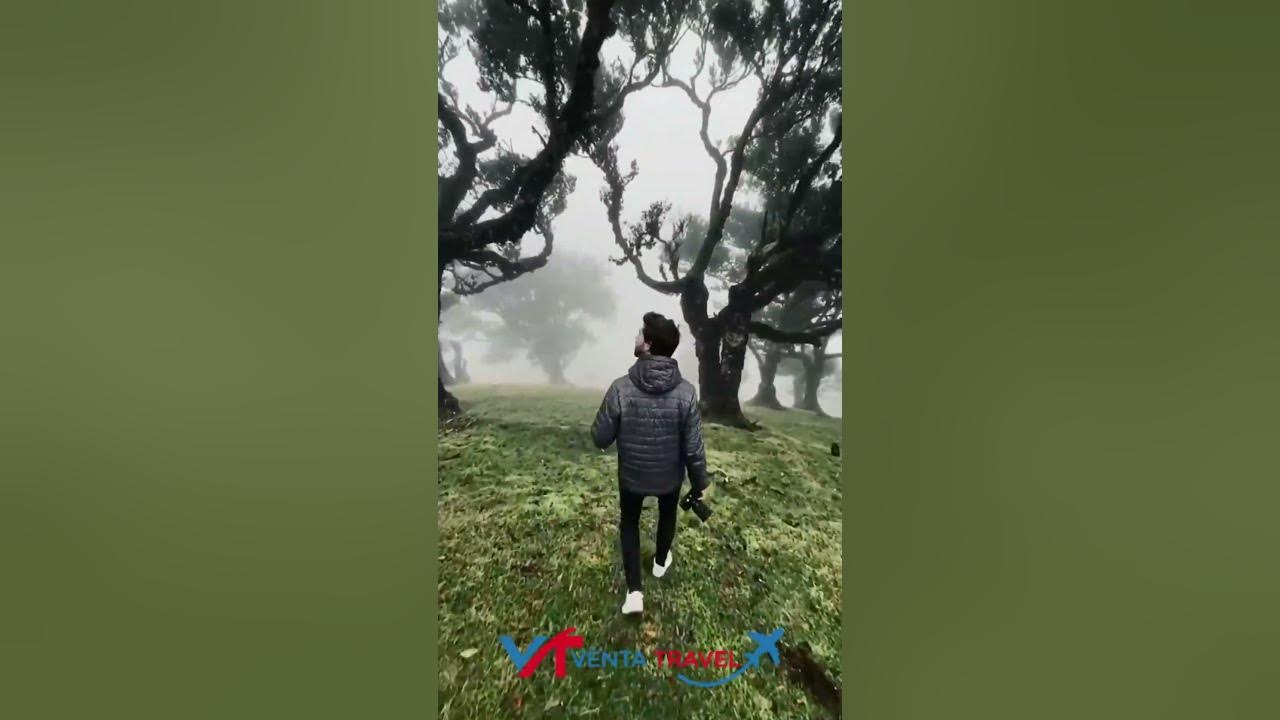 Video thumbnail for Exploring a haunted forest