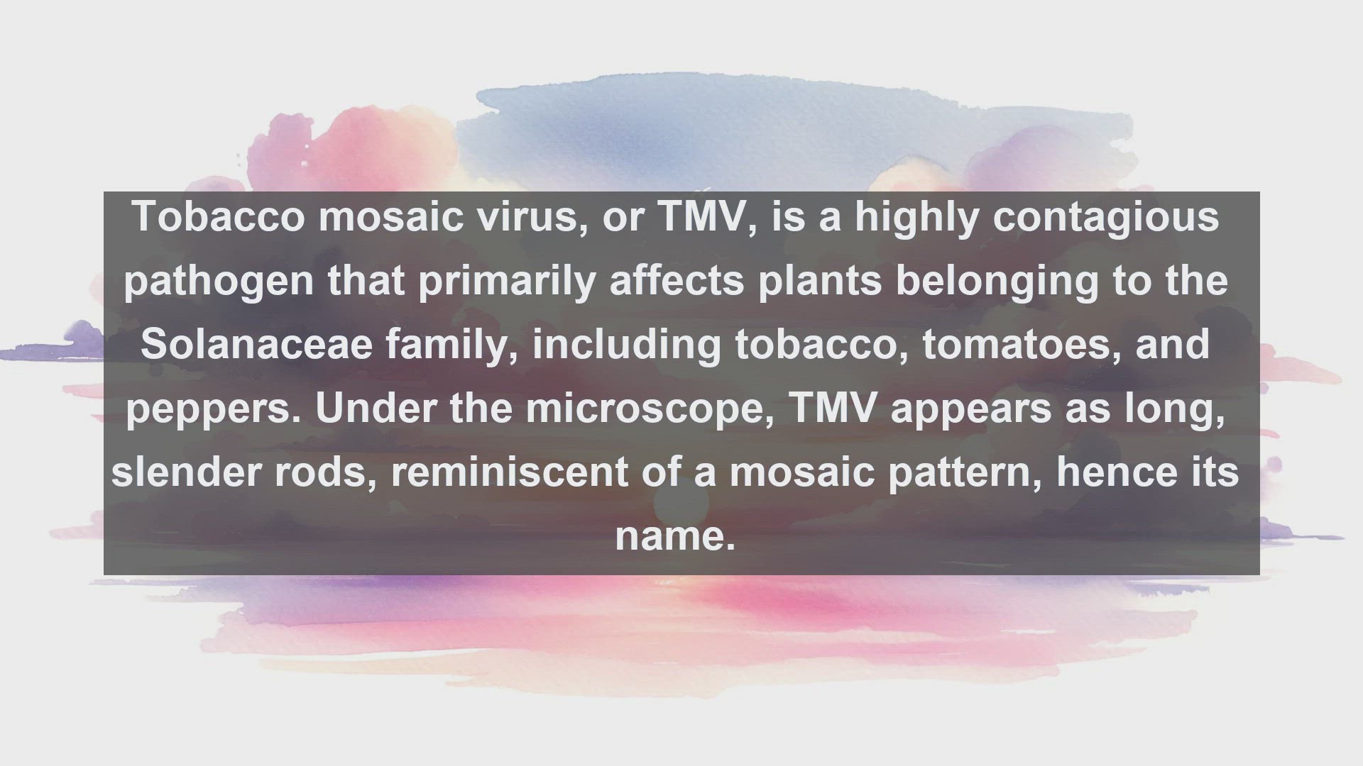 'Video thumbnail for Tobacco mosaic virus in science  definition and examples'