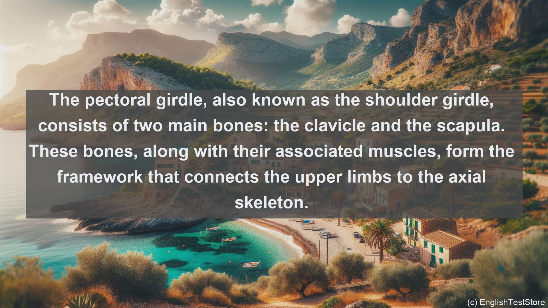 'Video thumbnail for Pectoral girdle in science  definition and examples'