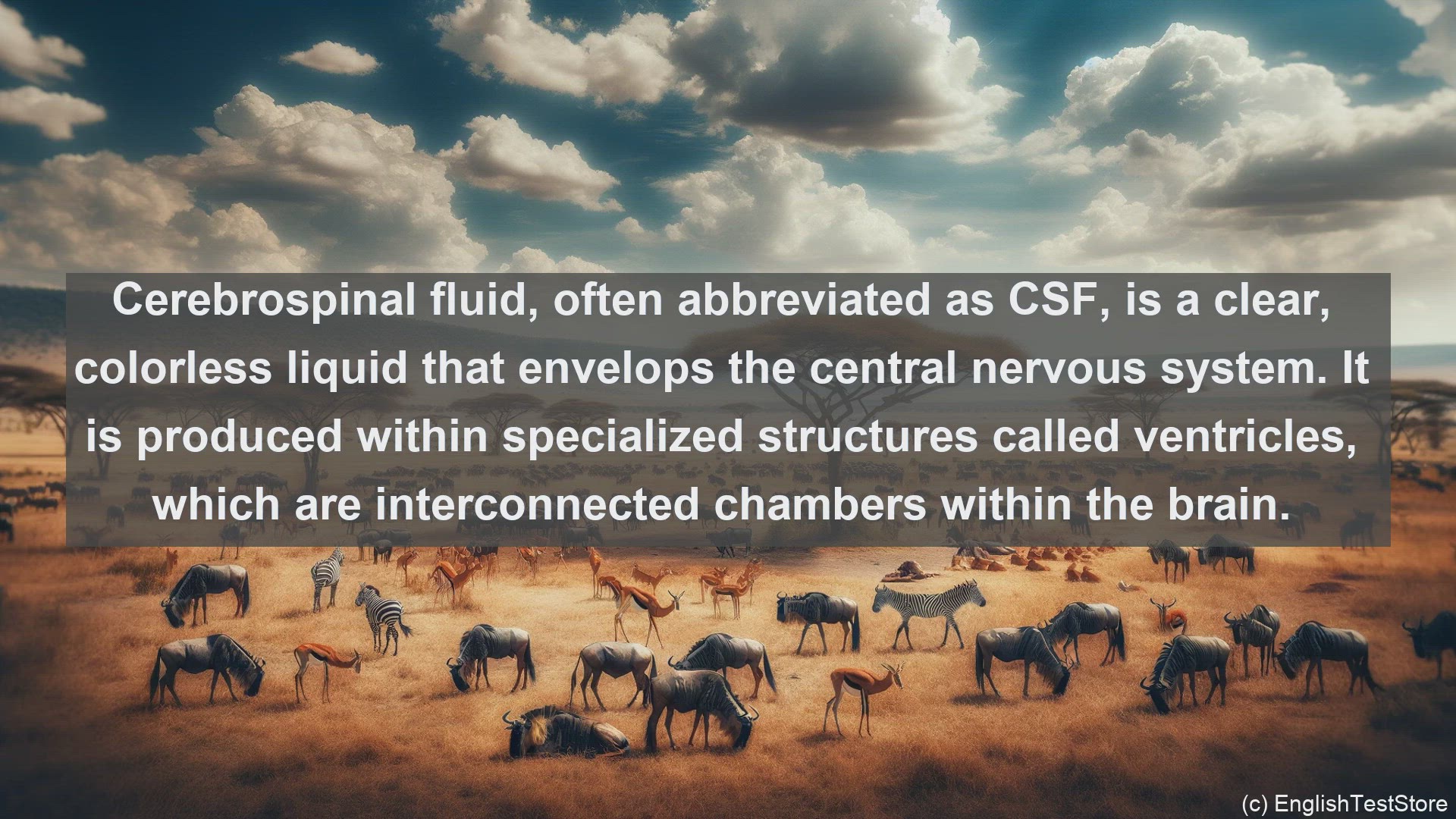 'Video thumbnail for Cerebrospinal fluid in science  definition and examples'