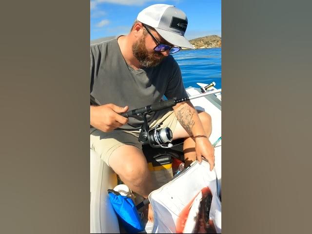 Video thumbnail for CATCHING a Surprise While FISHING Off an Island Coast?