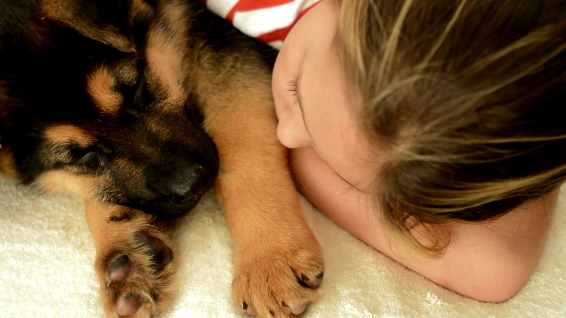 'Video thumbnail for . What You Didn’t Know About German Shepherd Intelligence'