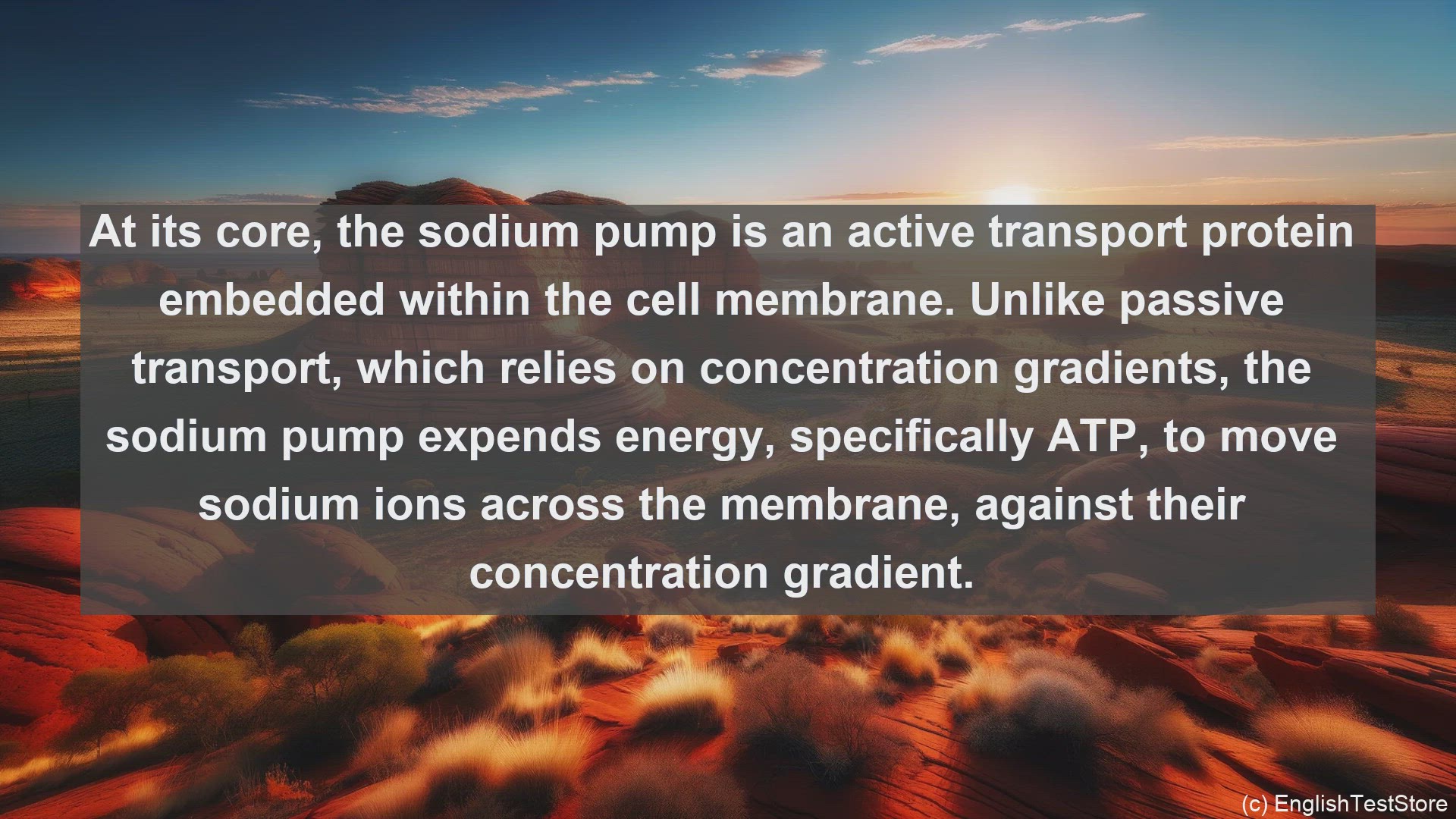 'Video thumbnail for Sodium pump in science  definition and examples'