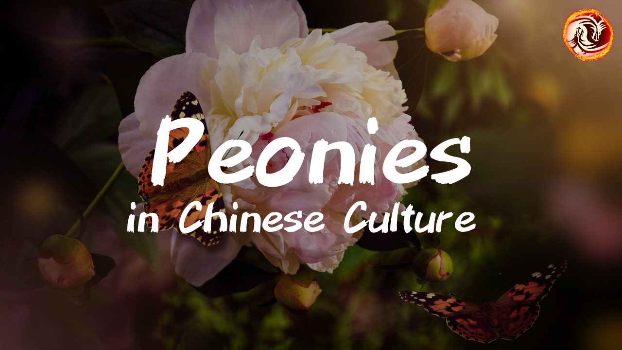 'Video thumbnail for Peonies in Chinese Culture: Symbolism, History, and Feng Shui Secrets'