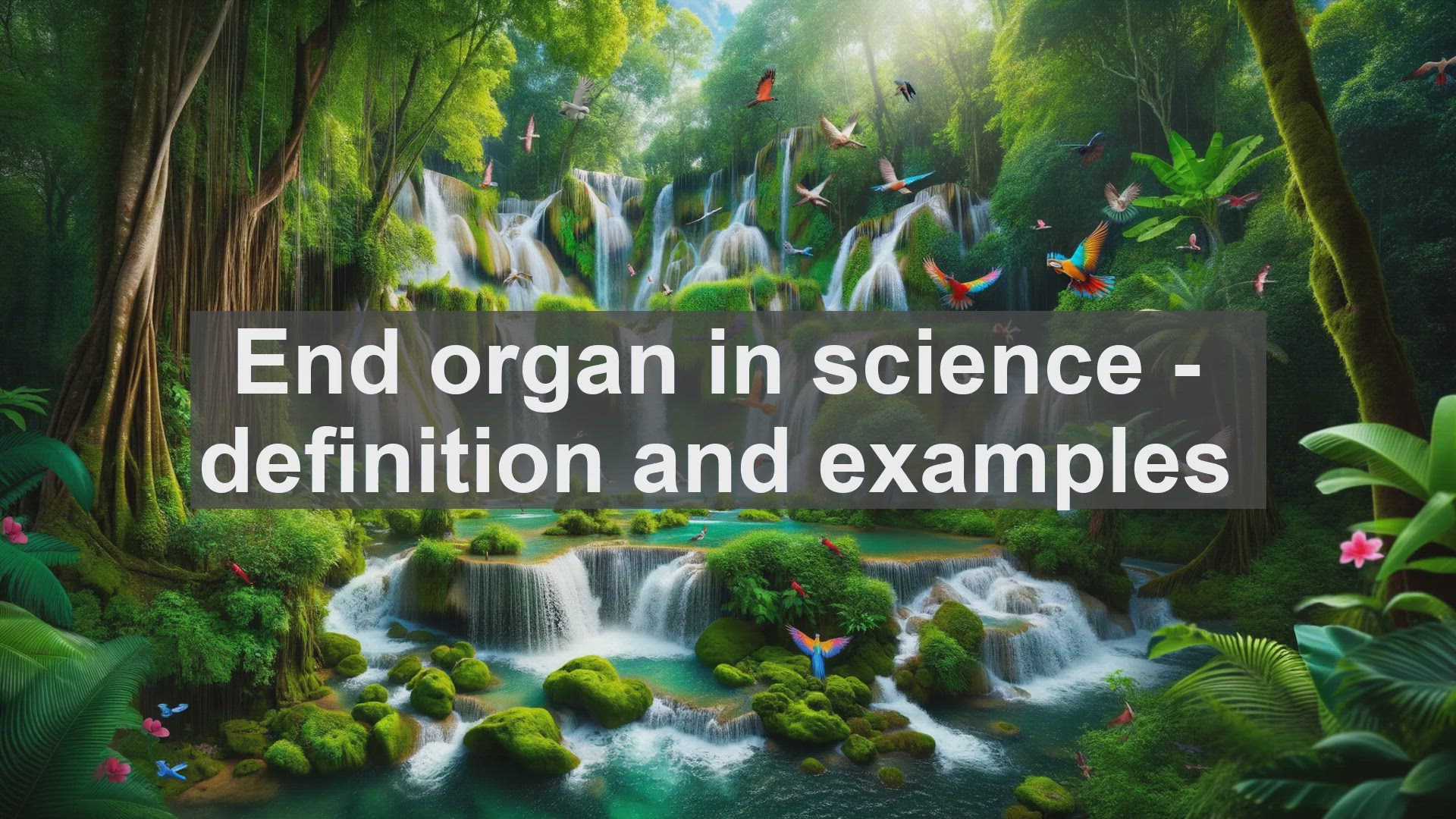 'Video thumbnail for End organ in science  definition and examples'