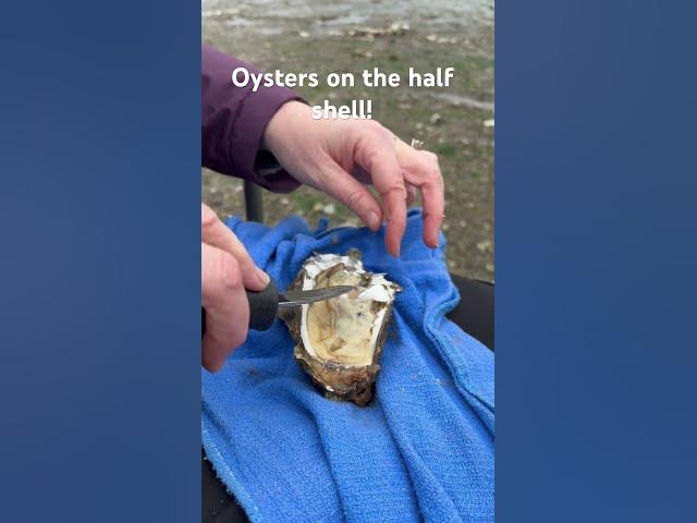 'Video thumbnail for What’s your favorite beach snack?!? Oysters on the half shell in the PNW is legit!'