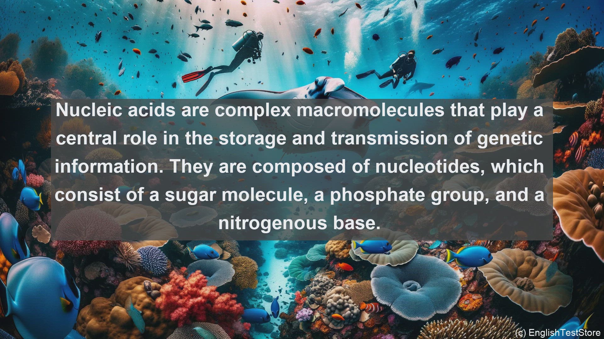'Video thumbnail for Nucleic acid in science  definition and examples'