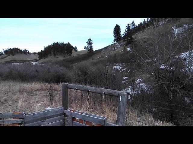 Video thumbnail for ROCKY BOY MT