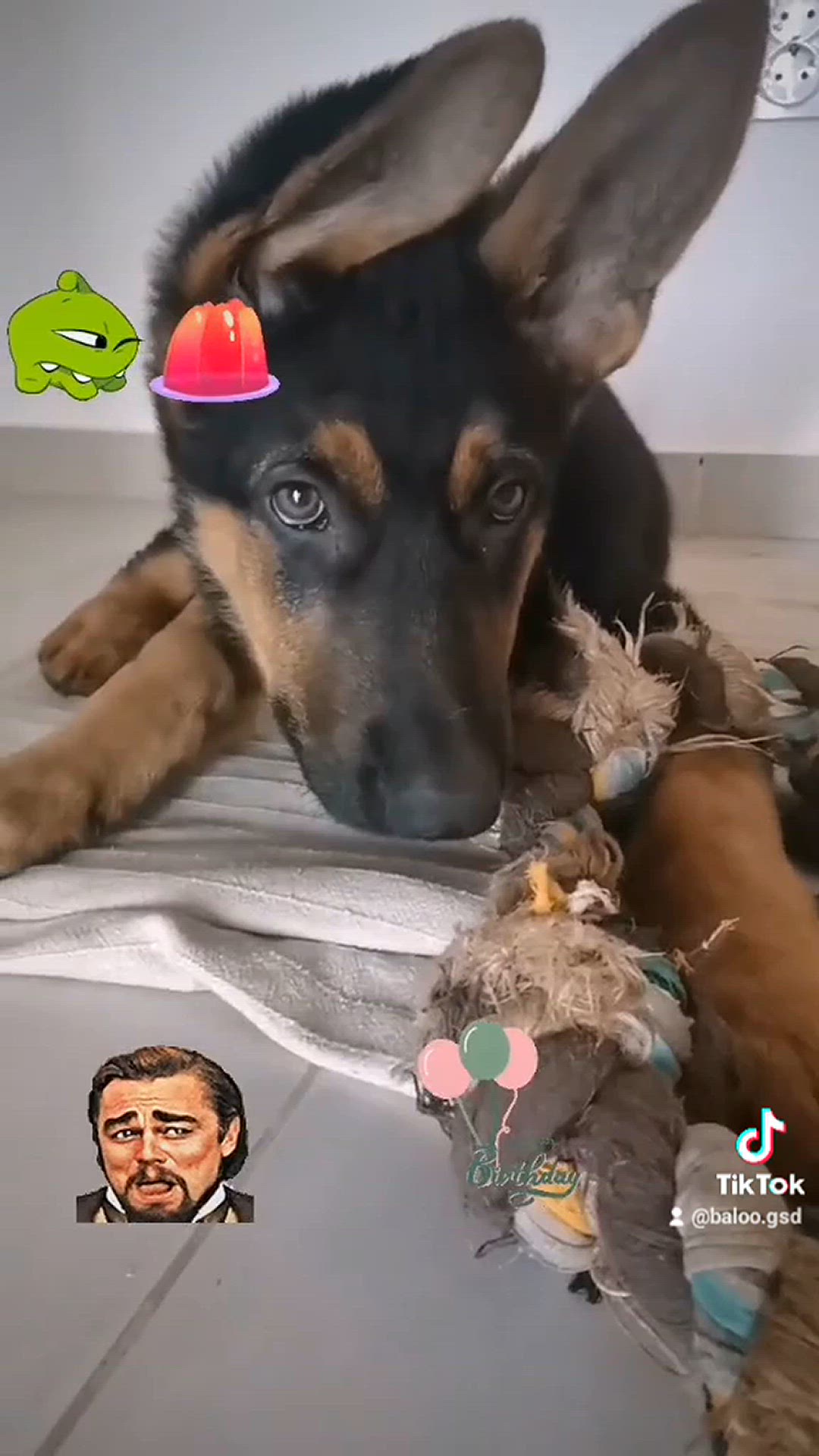'Video thumbnail for Baloo-star.com'