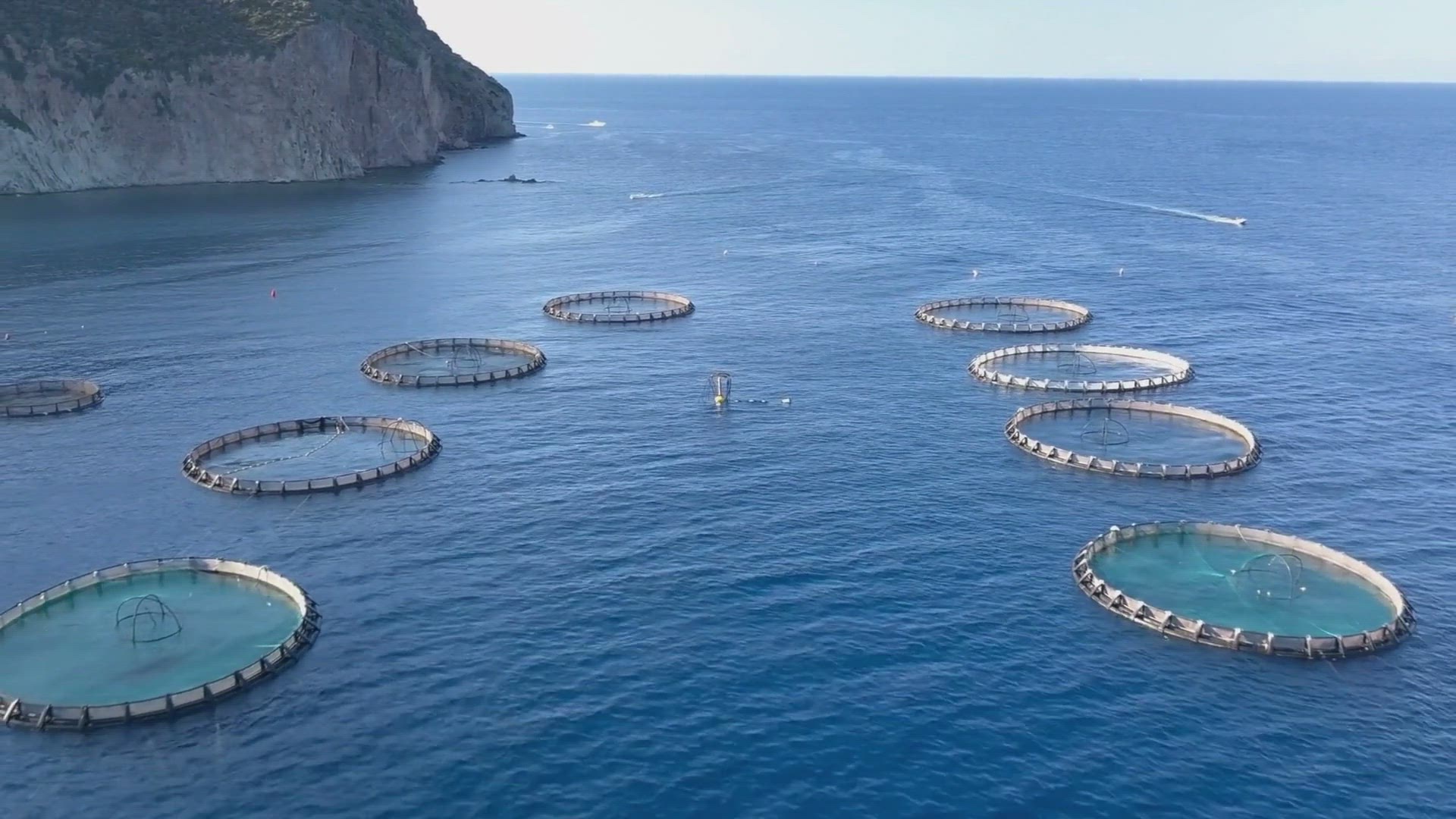 Can Dutch Ovens Go In The Dishwasher? HomeGearGeek