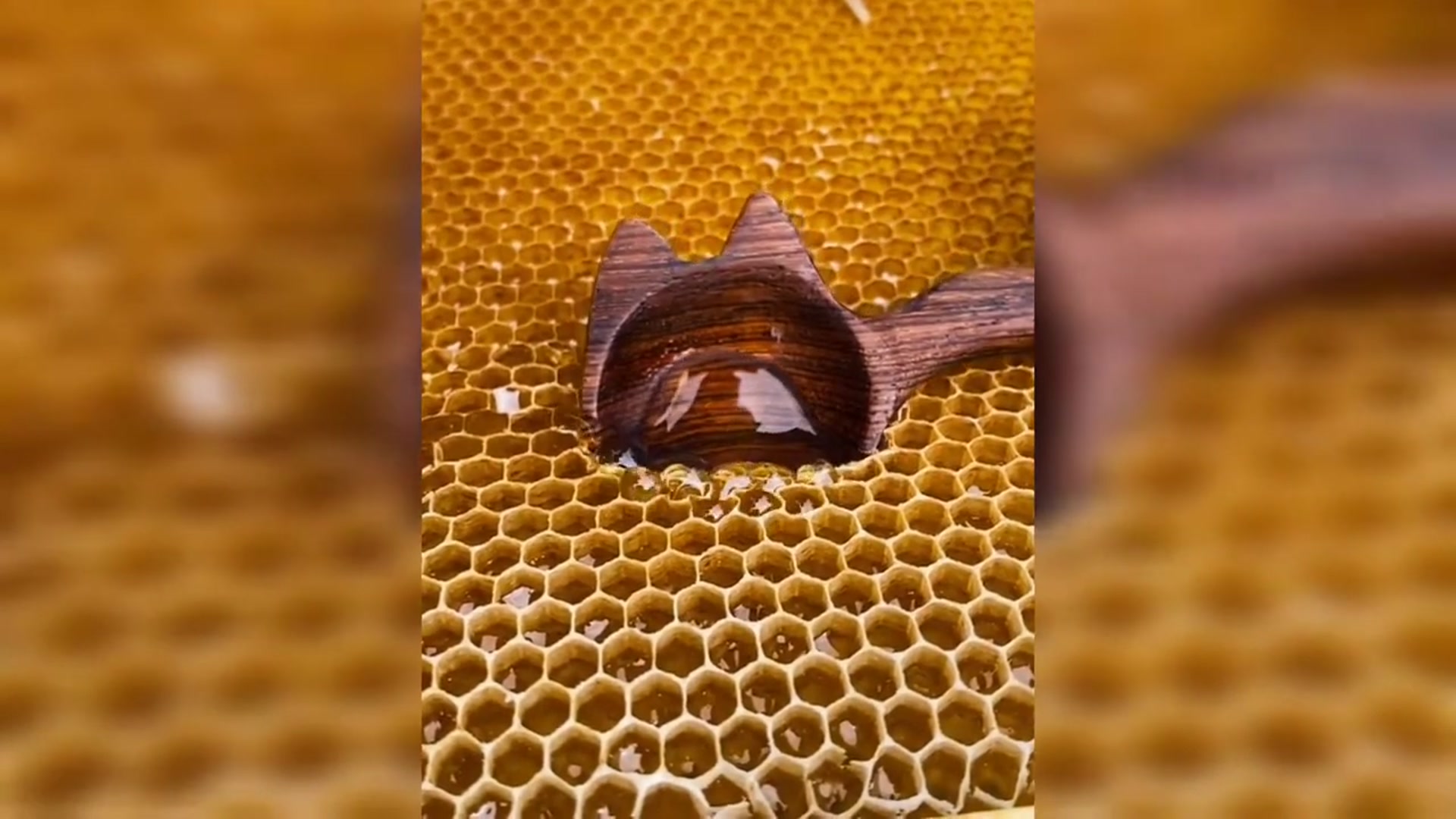 Video thumbnail for Oddly satisfying videos with calming deep sleep
